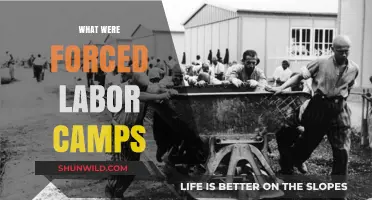 Unveiling the Brutal Reality of Forced Labor Camps