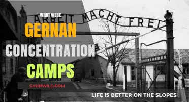 Understanding German Concentration Camps: History, Purpose, and Legacy