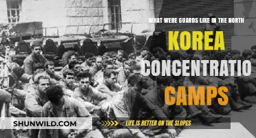 North Korea's Concentration Camps: The Brutal Reality of Guards' Roles