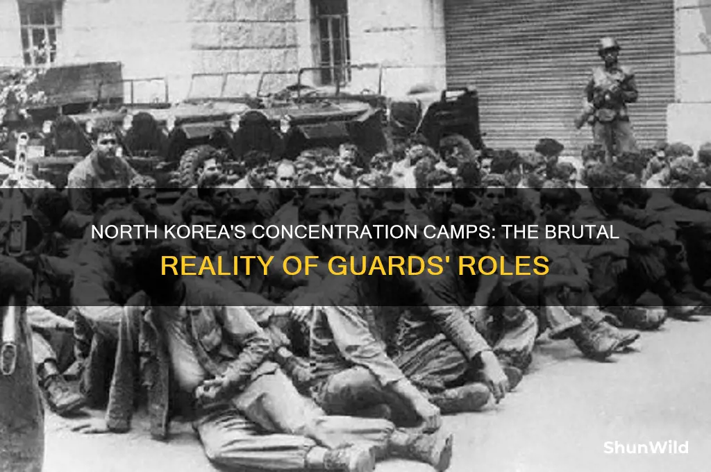what were guards like in the north korea concentration camps