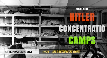 Hitler's Concentration Camps: A Dark Chapter in Human History