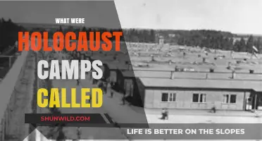 Unveiling the Brutal Reality: A Guide to Holocaust Camps and Their Horrifying Names