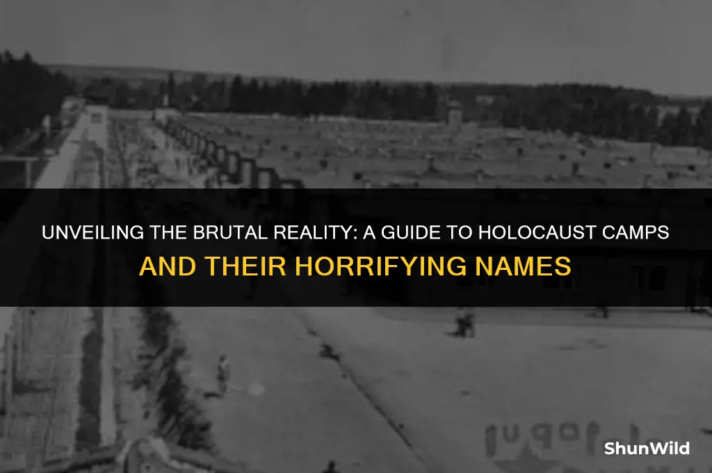 what were holocaust camps called