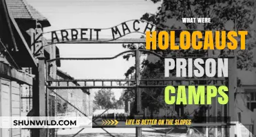 Unveiling the Horrors: A Deep Dive into Holocaust Prison Camps