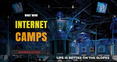 Exploring the Rise and Fall of Internet Cafes: A Nostalgic Journey