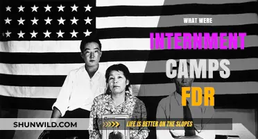 Unveiling the Dark History: FDR's Internment Camps Explained