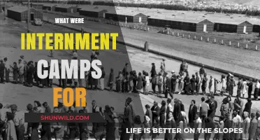 Unveiling the Dark History: What Were Internment Camps For?