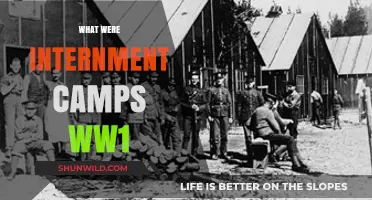 Unveiling the Harsh Realities of WWI Internment Camps