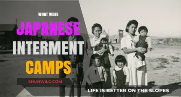 Unveiling the History: Japanese Internment Camps in WWII