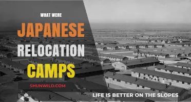 Unveiling the History: Japanese Relocation Camps and Their Legacy