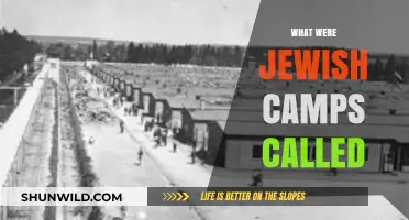 Unveiling History: The Terminology of Jewish Camps During the Holocaust