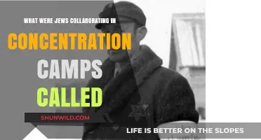 The Forgotten Collaborators: Jews in Concentration Camps