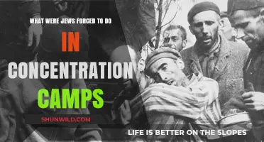 Forced Labor, Torture, and Survival: Jews' Plight in Concentration Camps