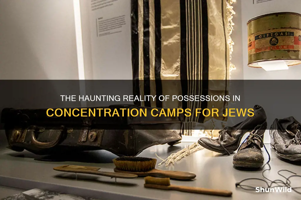 what were jews given in concentration camps