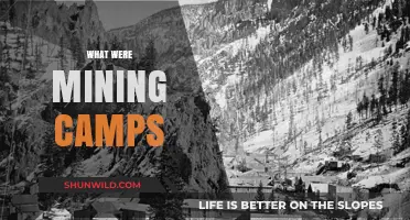 Unveiling the Secrets of Mining Camps: A Journey Through History