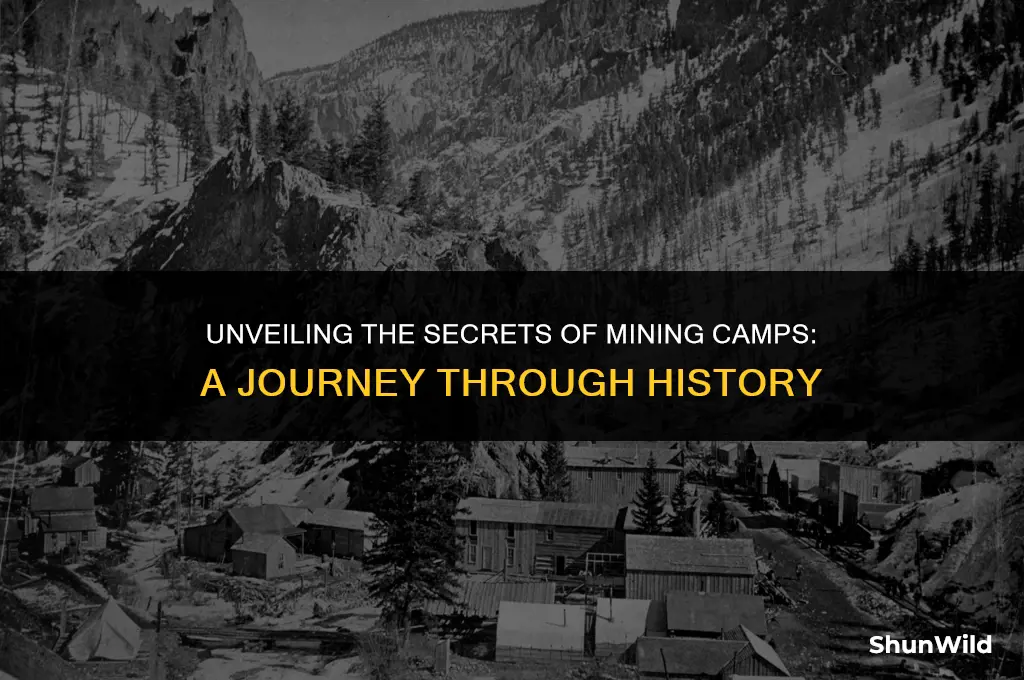 what were mining camps