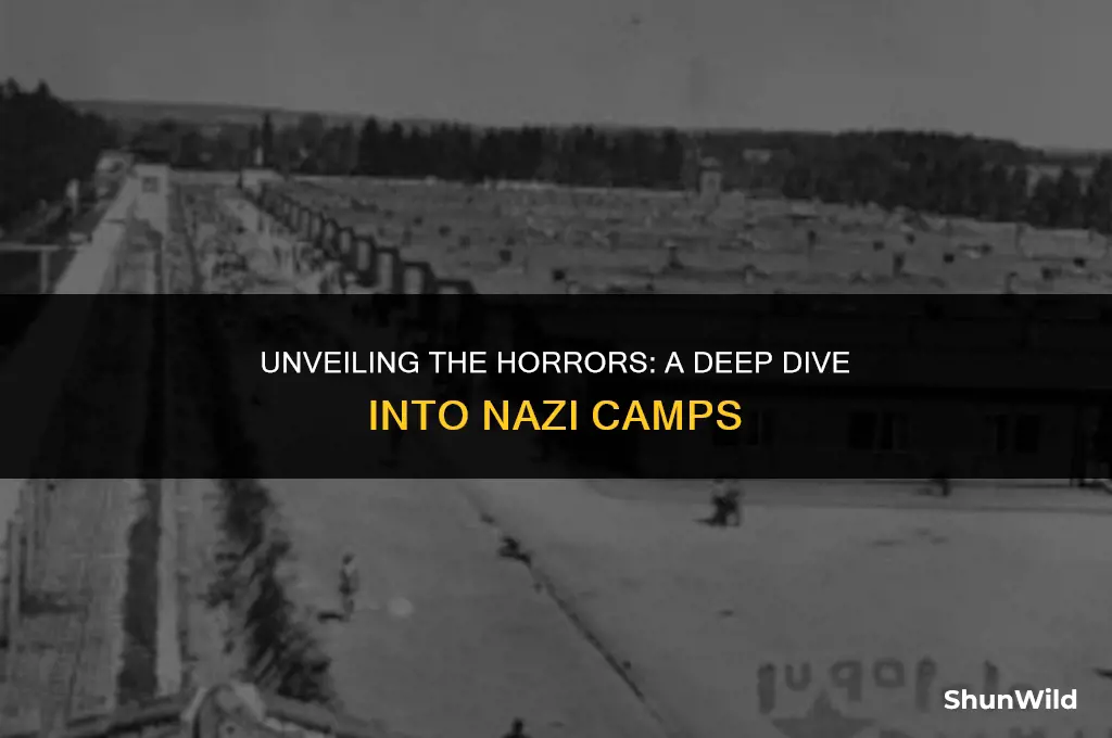 what were nazi camps