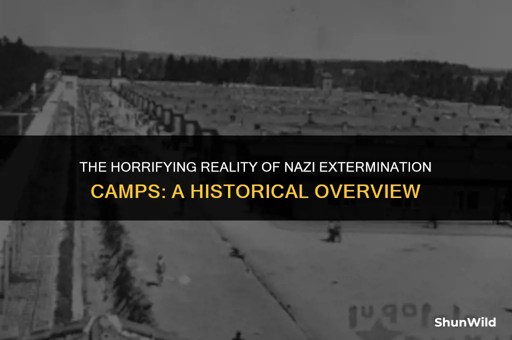 what were nazi extermination camps