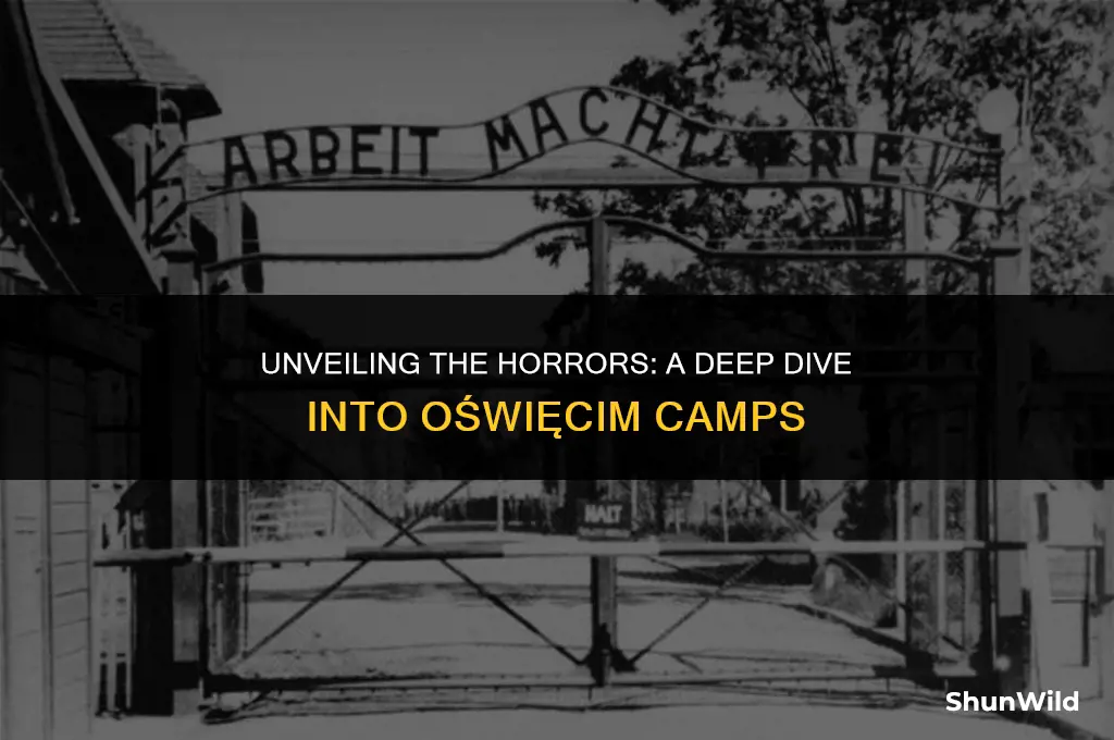 what were omteremr camps