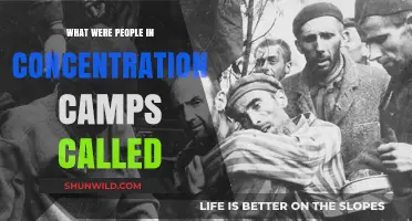 Names of the Oppressed: Understanding Concentration Camp Prisoner Designations