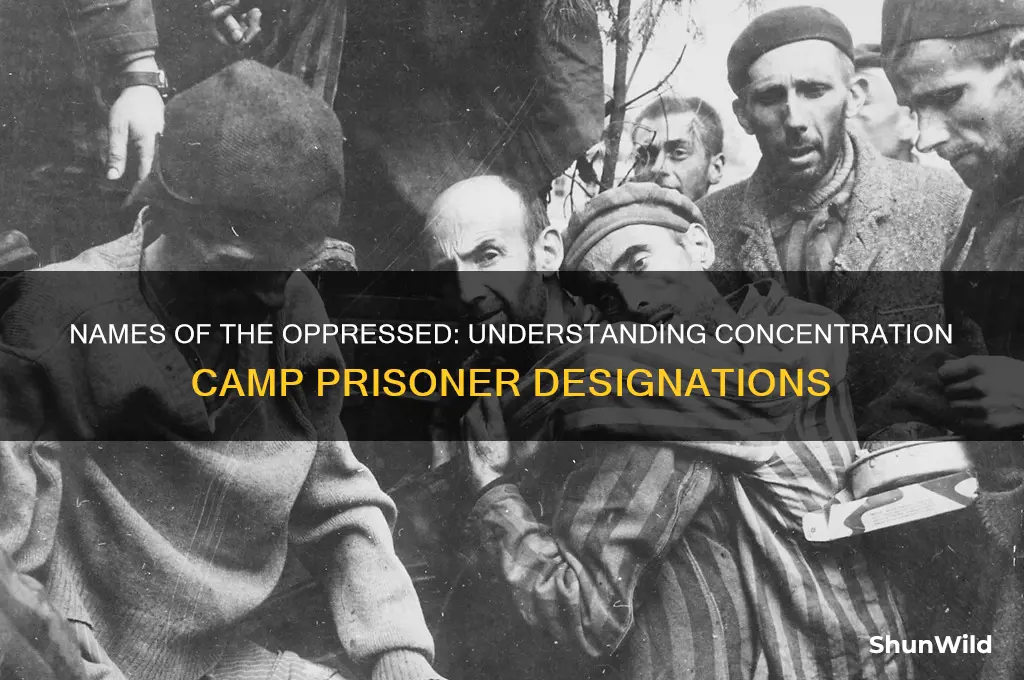 what were people in concentration camps called