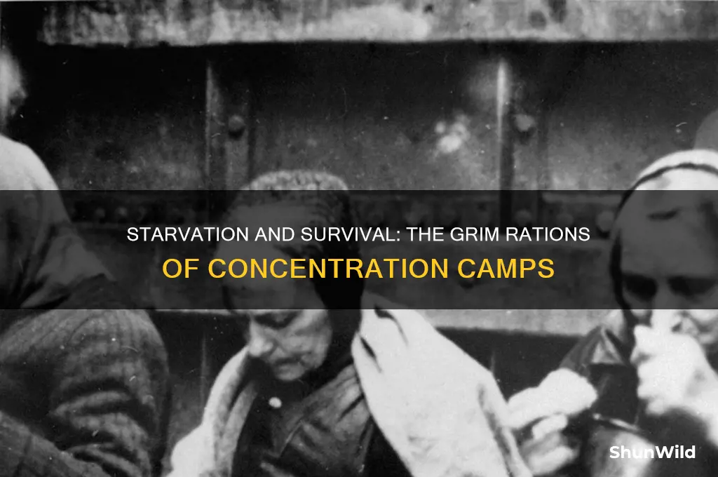 what were poeple fed in concentration camps