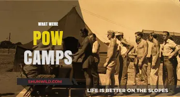 Unveiling the Brutal Reality of POW Camps: A Historical Perspective
