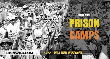 Unveiling the Brutal Reality of Prison Camps: A Historical Overview