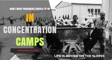 Forced Labor, Torture, and Survival: Life in Concentration Camps