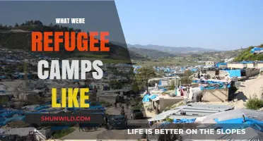 Life in Limbo: A Glimpse Inside Refugee Camps