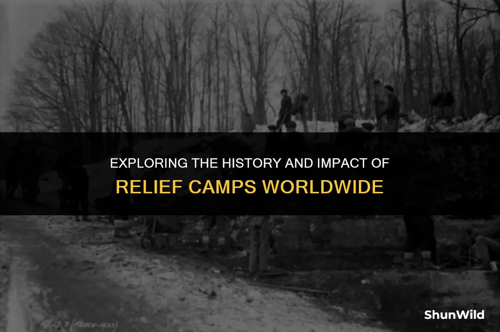 what were relief camps
