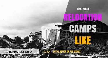 Unveiling the Harsh Realities of Relocation Camps: A Historical Perspective