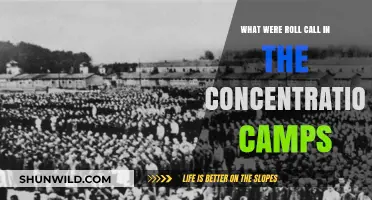 Roll Call in Concentration Camps: A Daily Horror Explained