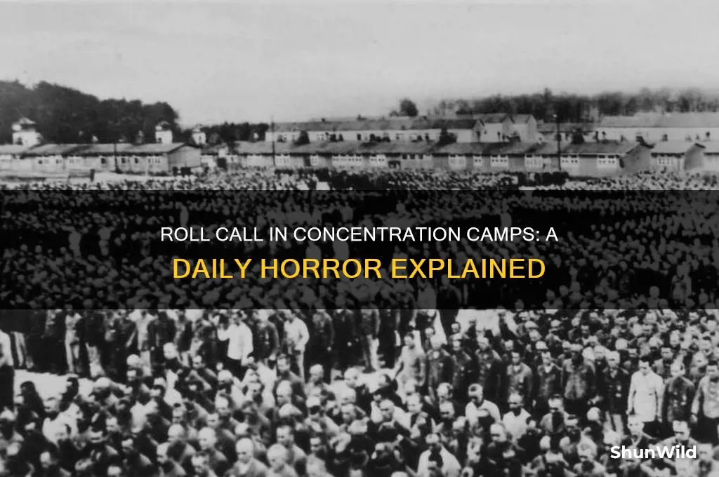 what were roll call in the concentration camps