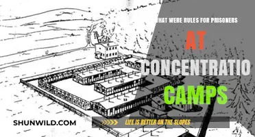 Concentration Camp Prisoner Rules: Harsh Realities of Incarceration and Oppression