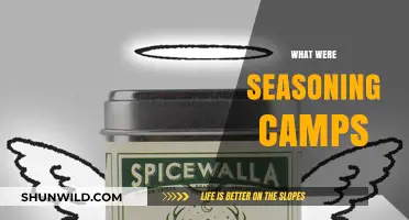 Unveiling the Flavor: A Journey Through Seasoning Camps