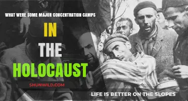 Major Concentration Camps of the Holocaust: A Historical Overview
