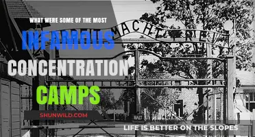 Infamous Concentration Camps: Dark Chapters in History's Most Brutal Sites