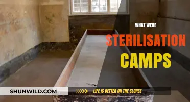 Unveiling the Horrors: A Deep Dive into Sterilization Camps