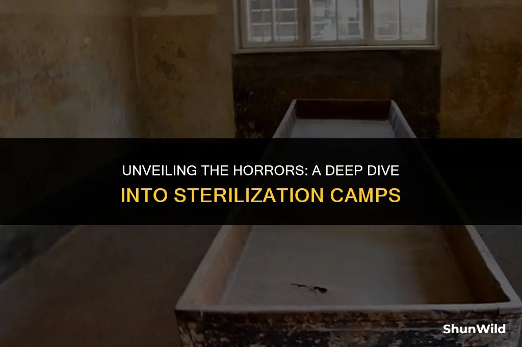 what were sterilisation camps