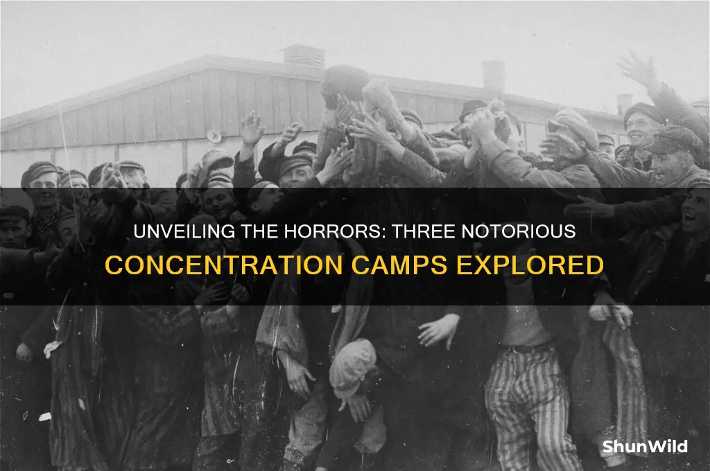 what were the 3 concentration camps
