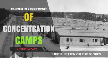 Concentration Camps: Uncovering Their Dark Purposes and Historical Impact