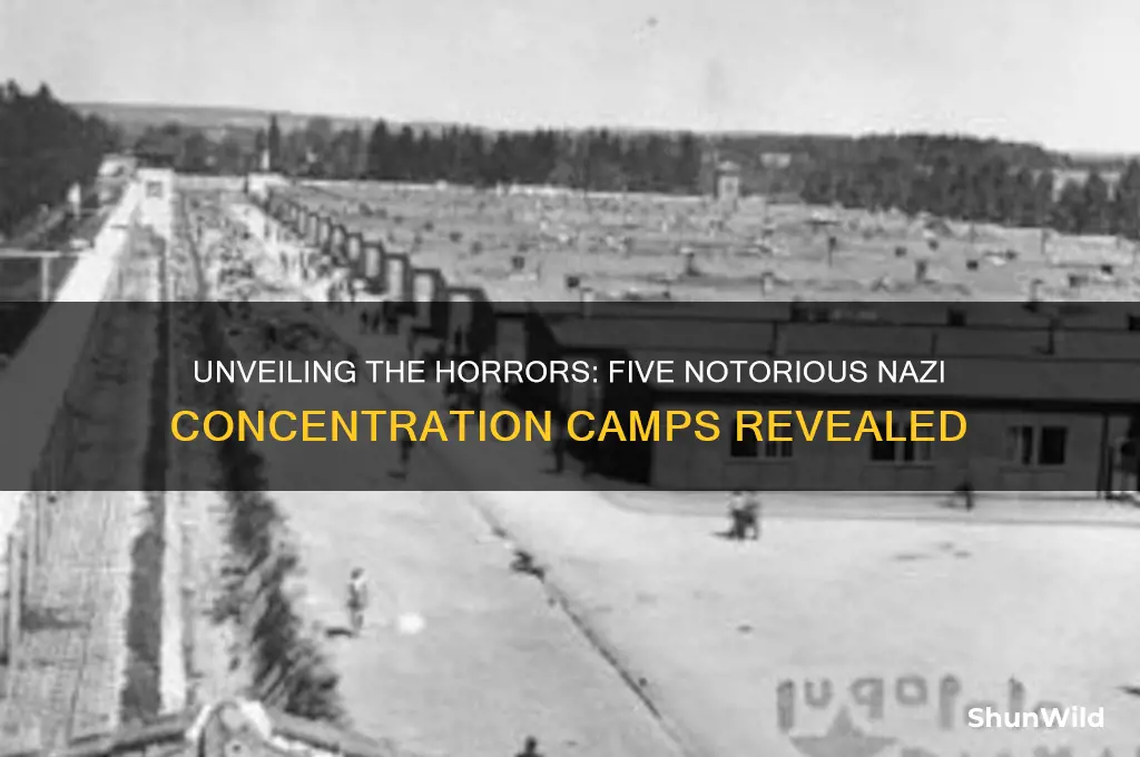 what were the 5 major concentration camps