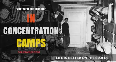 Beds in Concentration Camps: A Glimpse into Inhumane Living Conditions