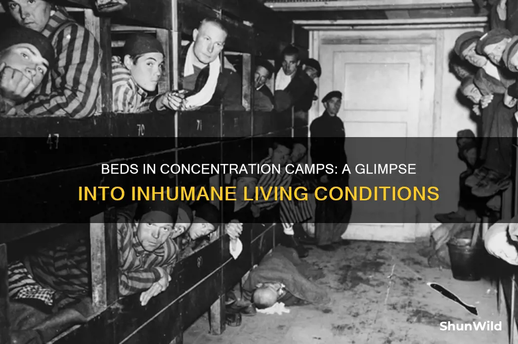 what were the beds like in concentration camps