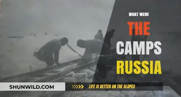 Unveiling the Brutal Reality of Russia's Camps: A Historical Insight
