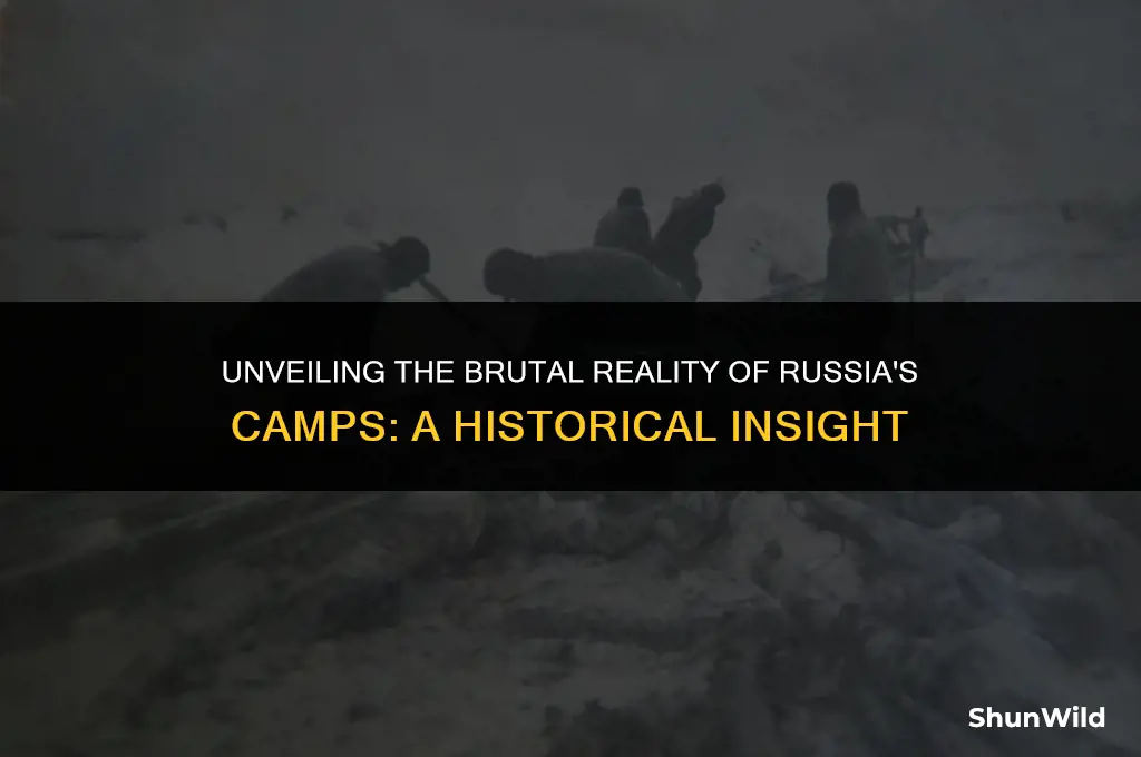 what were the camps russia