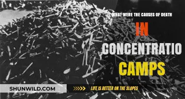 Unveiling the Brutal Causes of Death in Concentration Camps