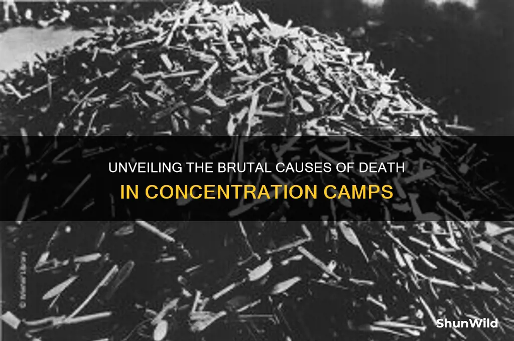 what were the causes of death in concentration camps