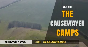 Unveiling the Mysteries of Causewayed Camps: A Prehistoric Enigma